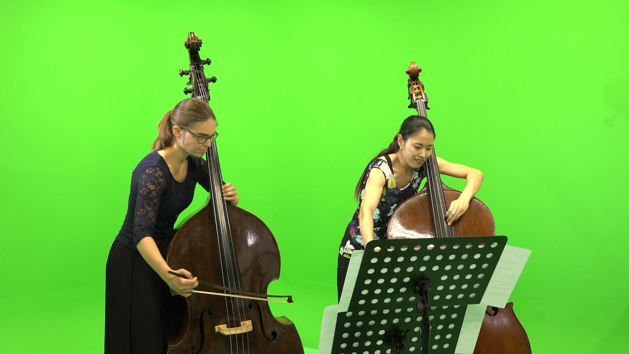 Musikalischer Gruß aus der HfM
